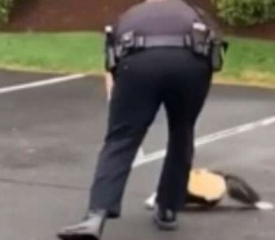 Скунс застрял в стакане с кофе и был спасен полицейским: видео стало вирусным