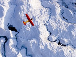 Стремительное таяние льдов повергло в ужас пользователей сети