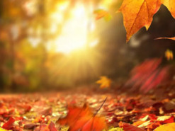 До +18 тепла: синоптики порадували прогнозом погоди в Україні до кінця жовтня