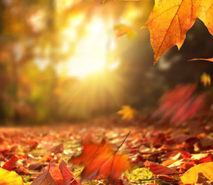 До +18 тепла: синоптики порадували прогнозом погоди в Україні до кінця жовтня