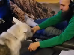 Видеохит: Канадец научил собаку приносить пиво и закрывать дверцу холодильника