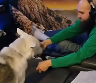 Видеохит: Канадец научил собаку приносить пиво и закрывать дверцу холодильника