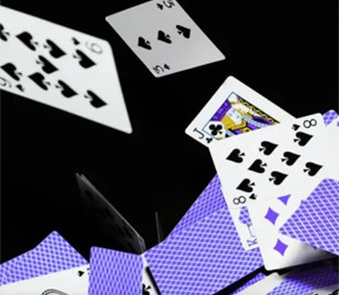 Популярного Instagram-блогера оштрафували на 4,8 млн грн за незаконну рекламу онлайн-казино: юрист прокоментував