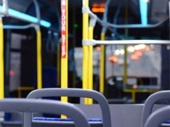 Рада може запровадити безкоштовний проїзд через "Дію": Кого це торкнеться