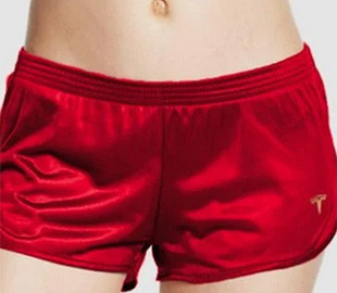 На этот раз не электромобиль: Tesla представила необычную новинку