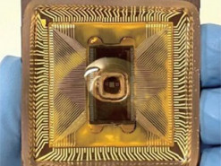 Фізики створили іонний процесор, що працює подібно до мозку