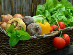 Лікарі розповіли про правильне харчування в умовах війни