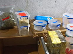 Поліцейські вилучили у тернополянина наркотиків на 800 тисяч гривень