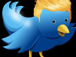 Дональд Трамп-младший попросил Маска создать новую соцсеть для своего отца