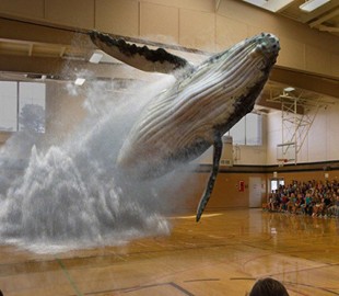 Ожидается, что рынок игр смешанной реальности для смартфонов в 2022 году достигнет 2,3 млрд долларов