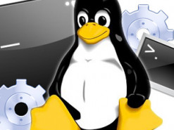 Университету Миннесоты запретили участвовать в развитии Linux из-за спорных патчей