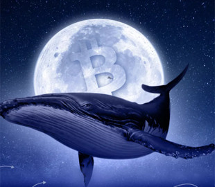 Біткоїн-кит продав 1000 BTC, посиливши тиск на ціну