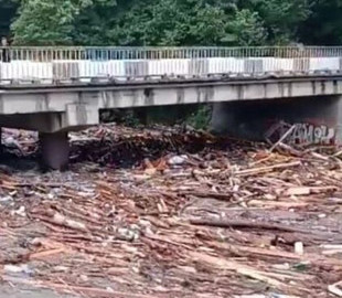 "Природа мстит": в Сети показали мощь стихии на Закарпатье (фото и видео)