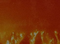 У NASA розповіли про головну загрозу існуванню людства