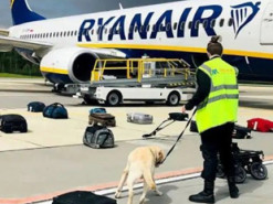 Затримання Протасевича: ICAO розслідує примусову посадку Ryanair у Мінську