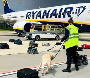 Затримання Протасевича: ICAO розслідує примусову посадку Ryanair у Мінську