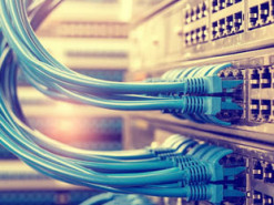 ИнАУ благодарит депутатов, поддержавших законопроект №2042