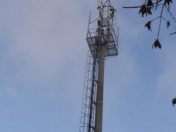 Россиянин спилил вышку сотовой связи, так как она «облучала» его урожай