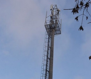 Россиянин спилил вышку сотовой связи, так как она «облучала» его урожай