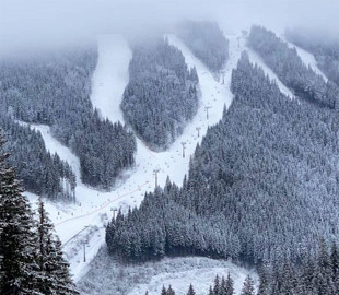 Карпаты перед Новым годом замело снегом: в сети делятся сказочными фото