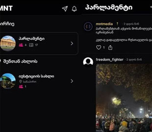 У Грузії запустили соцмережу для учасників проєвропейських протестів