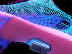 Adidas и Google создают "умные стельки", которые помогут играть в FIFA