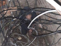 В Днепре патрульные задержали кабельного вора
