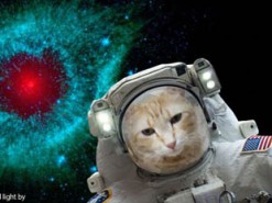 NASA выпустило приложение для селфи в космосе