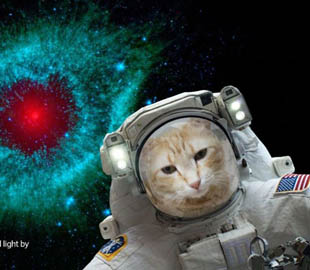 NASA выпустило приложение для селфи в космосе