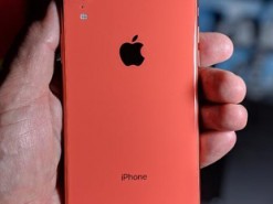 Apple резко сократила производство iPhone Xr из-за низкого спроса