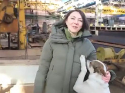 Пес увірвався в ефір з Маляр: кумедні кадри