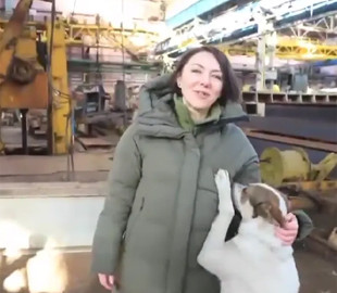 Пес увірвався в ефір з Маляр: кумедні кадри