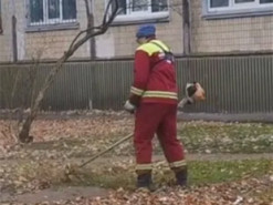 В Киеве заметили коммунальщика, который косил опавшие листья