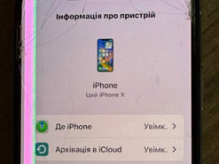 Чоловіка, який відібрав у 10-річного хлопчика iPhone, взяли під варту