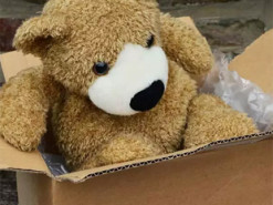 Хакеры атаковали компании с помощью посылок с плюшевыми игрушками