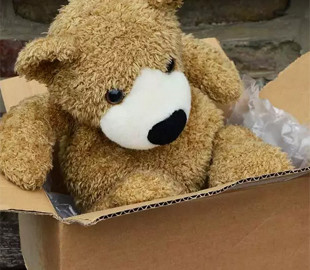 Хакеры атаковали компании с помощью посылок с плюшевыми игрушками