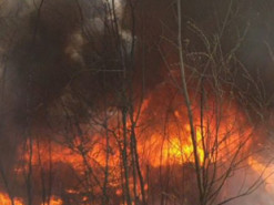 На вихідних в Києві переважатиме надзвичайний рівень пожежної небезпеки