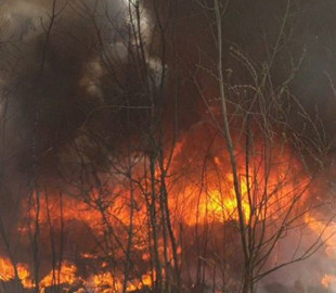 На вихідних в Києві переважатиме надзвичайний рівень пожежної небезпеки