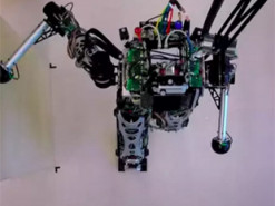 Походку роботов сделали ещё более похожей на человеческую