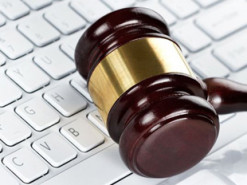 Чоловік випадково купив на аукціоні тисячу курей