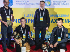 Пес Патрон отримав відзнаку "Чотирилапий захисник": Знайшов 300 вибухових пристроїв