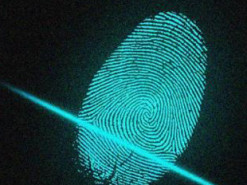 Новый инструмент позволит анализировать цифровые отпечатки текста в интернете