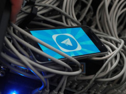 Эксперты назвали Telegram центром объединения правых экстремистов