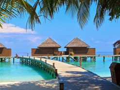 Удаленка на Мальдивах. На островах запустили услугу "уединенный офис" стоимостью $23 000