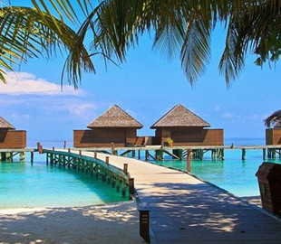 Удаленка на Мальдивах. На островах запустили услугу "уединенный офис" стоимостью $23 000