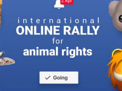 До першого Міжнародного онлайн-мітингу за права тварин долучилося 18 країн світу