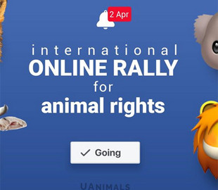 До першого Міжнародного онлайн-мітингу за права тварин долучилося 18 країн світу