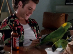 У мережі жартують про санкції рф проти Джима Керрі: до чого тут херсонський єнот