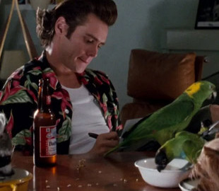 У мережі жартують про санкції рф проти Джима Керрі: до чого тут херсонський єнот