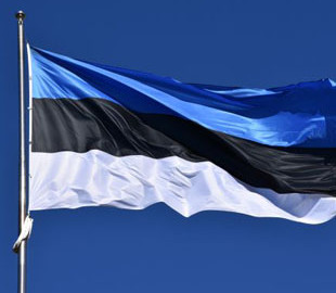В Естонії прискорюють роботи по зміцненню кордону через події в Росії